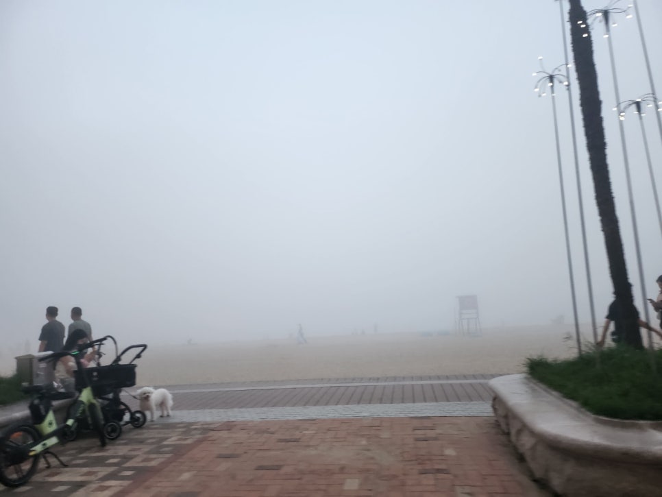 광안리보울스포케샐러드 이미지