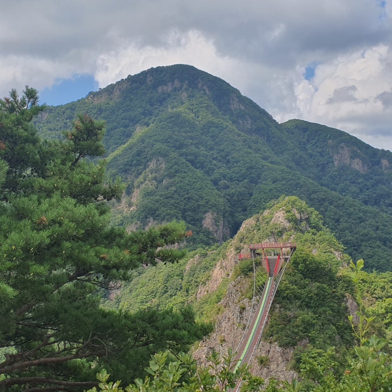 운장산칡냉면 이미지