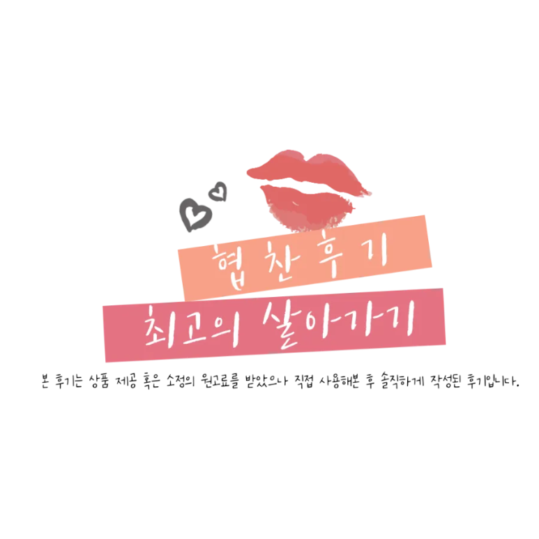 드이자르 산후도우미 이미지