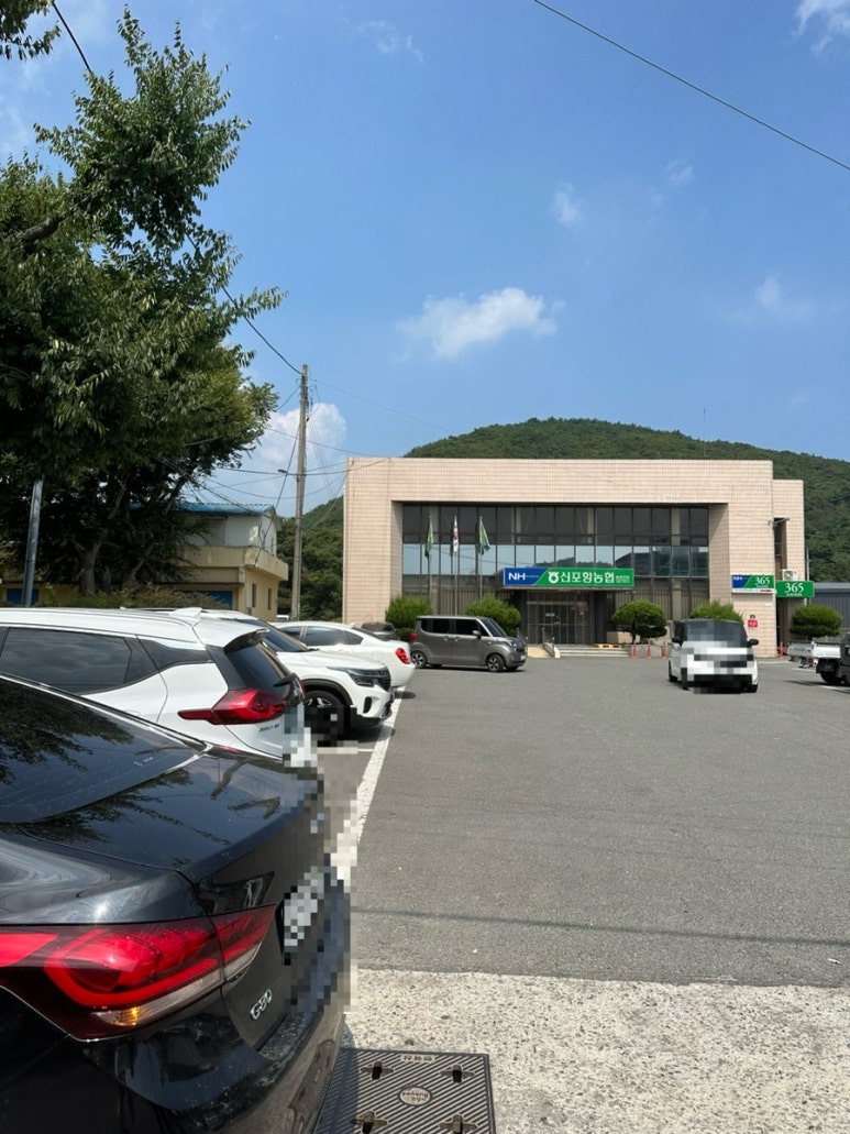 신포항농협하나로마트(송라점) 이미지