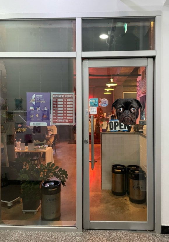 피앤비코 이미지