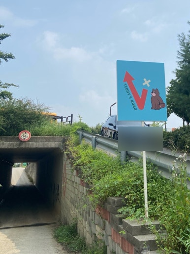 테디스로드 이미지