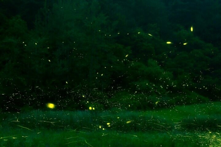 늘찬 이미지