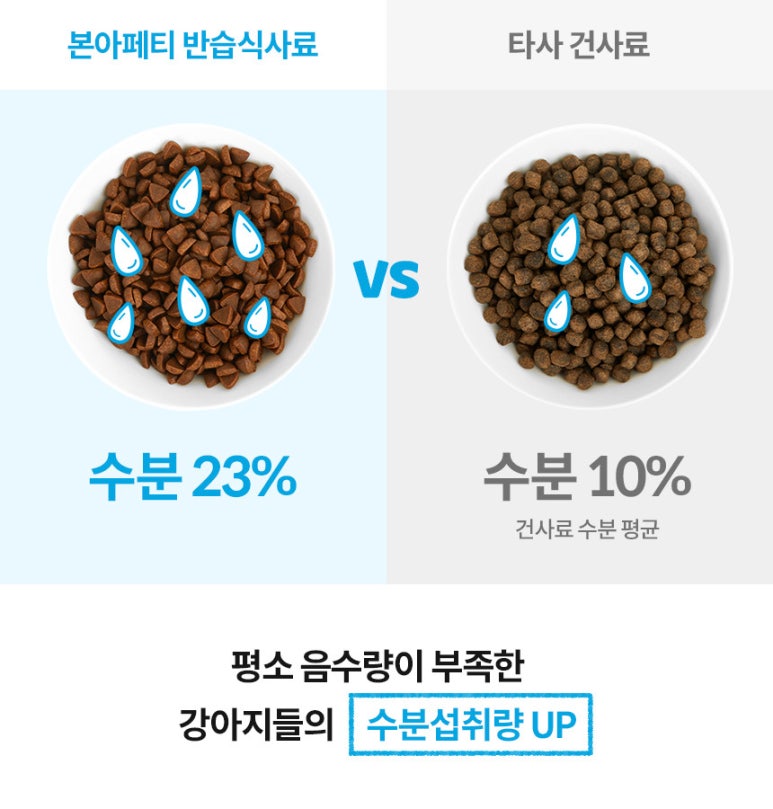 본앤조인트 이미지