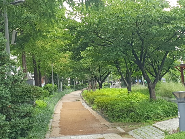 숲길 이미지