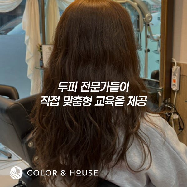 컬러앤하우스 부천소사점 이미지