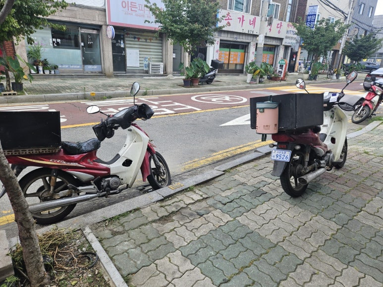 삼오성 이미지