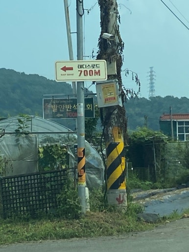 테디스로드 이미지