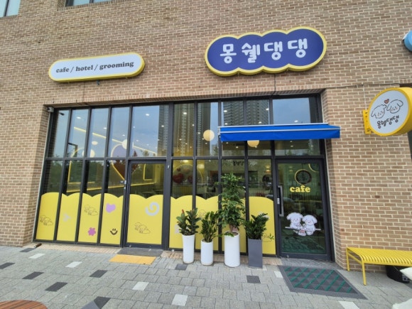 몽쉘댕댕 이미지