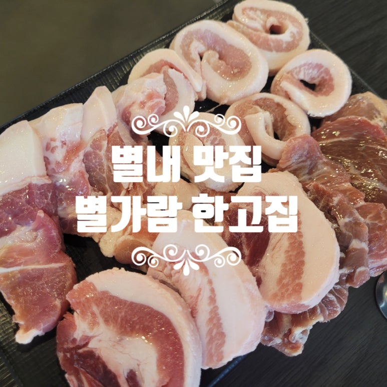 별가람 한고집 이미지