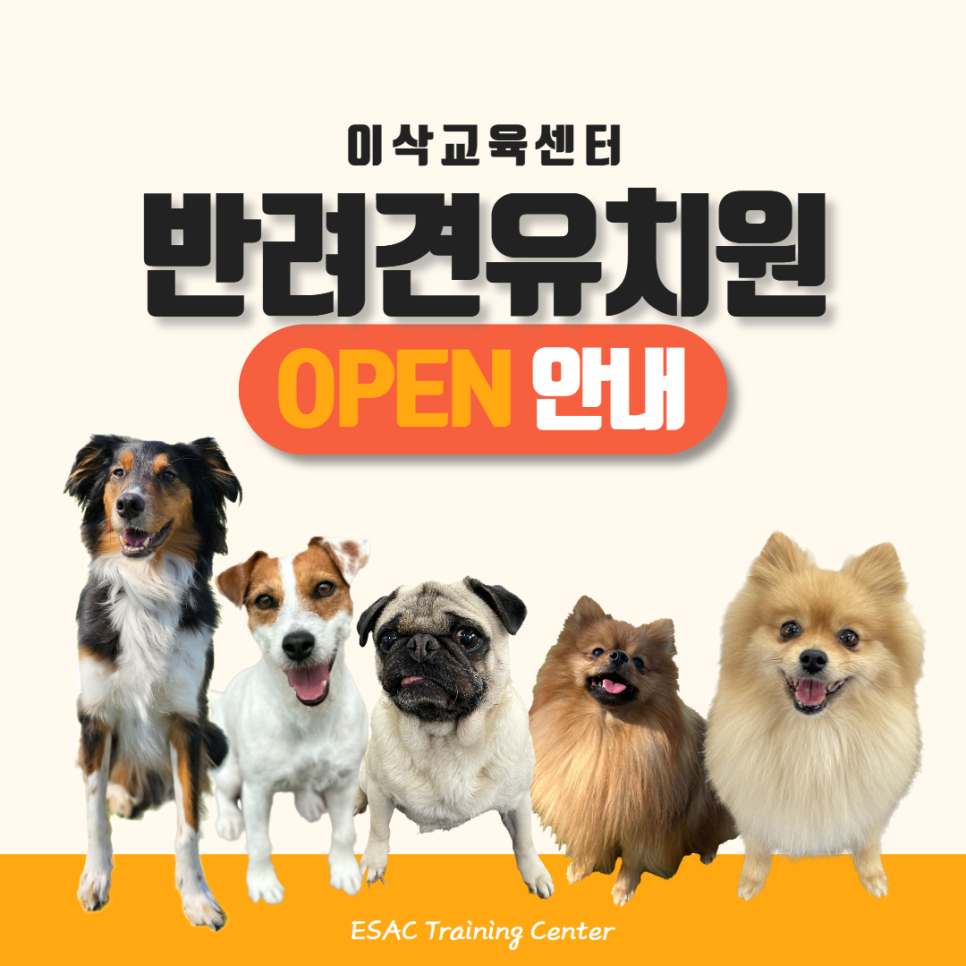 이삭교육센터 이미지