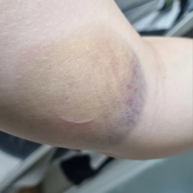 스몹고양 이미지