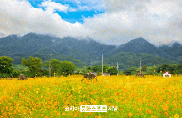구례군청소년수련원 이미지