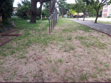 대구현풍초등학교 이미지