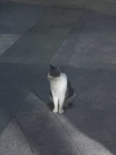 지에스(gs)25 월배포스코점 이미지