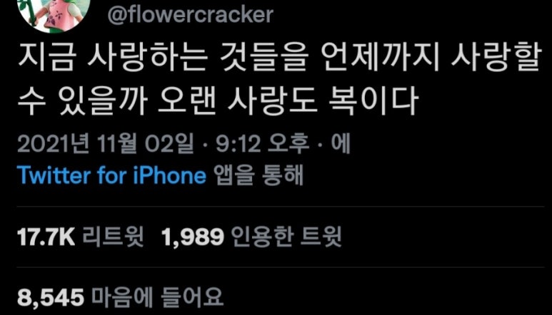 달리181 이미지