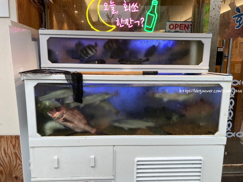 회뜨남 이미지
