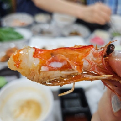 낙지야낙지야 이미지