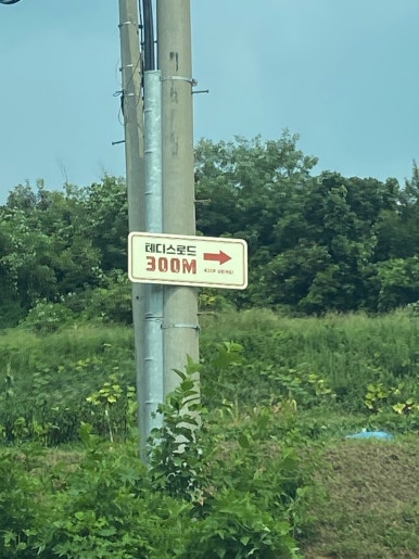 테디스로드 이미지