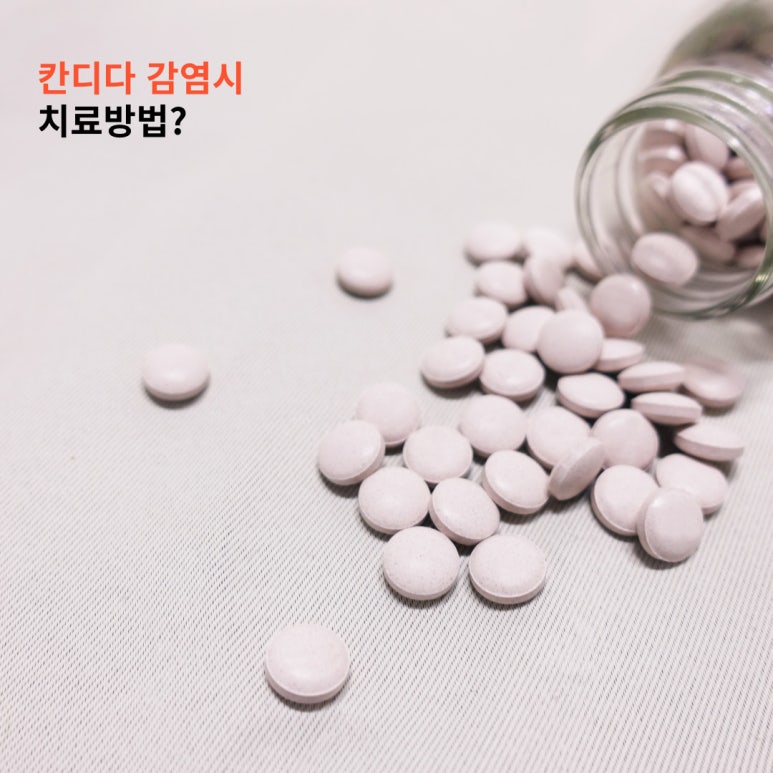 프루플로 이미지