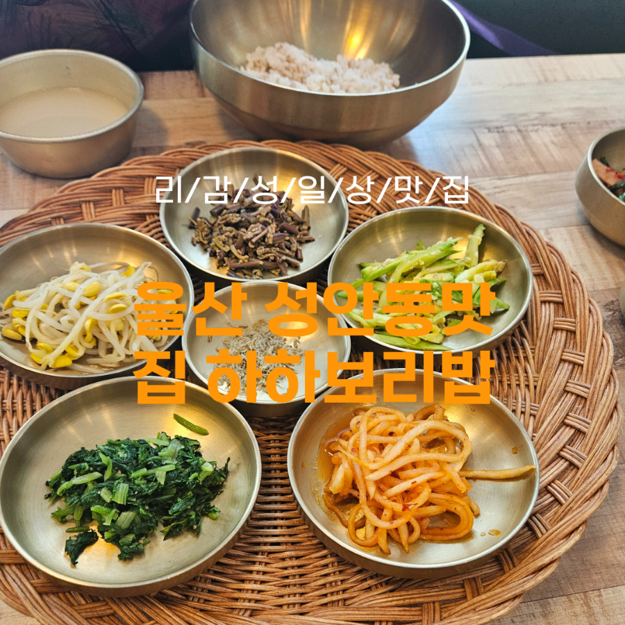 하하보리밥 이미지