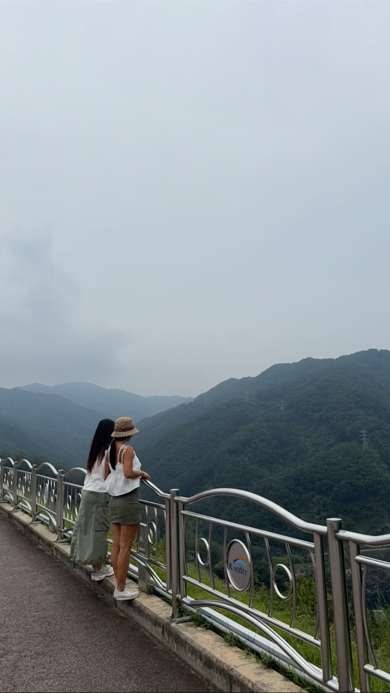 춘천소양강닭갈비 이미지
