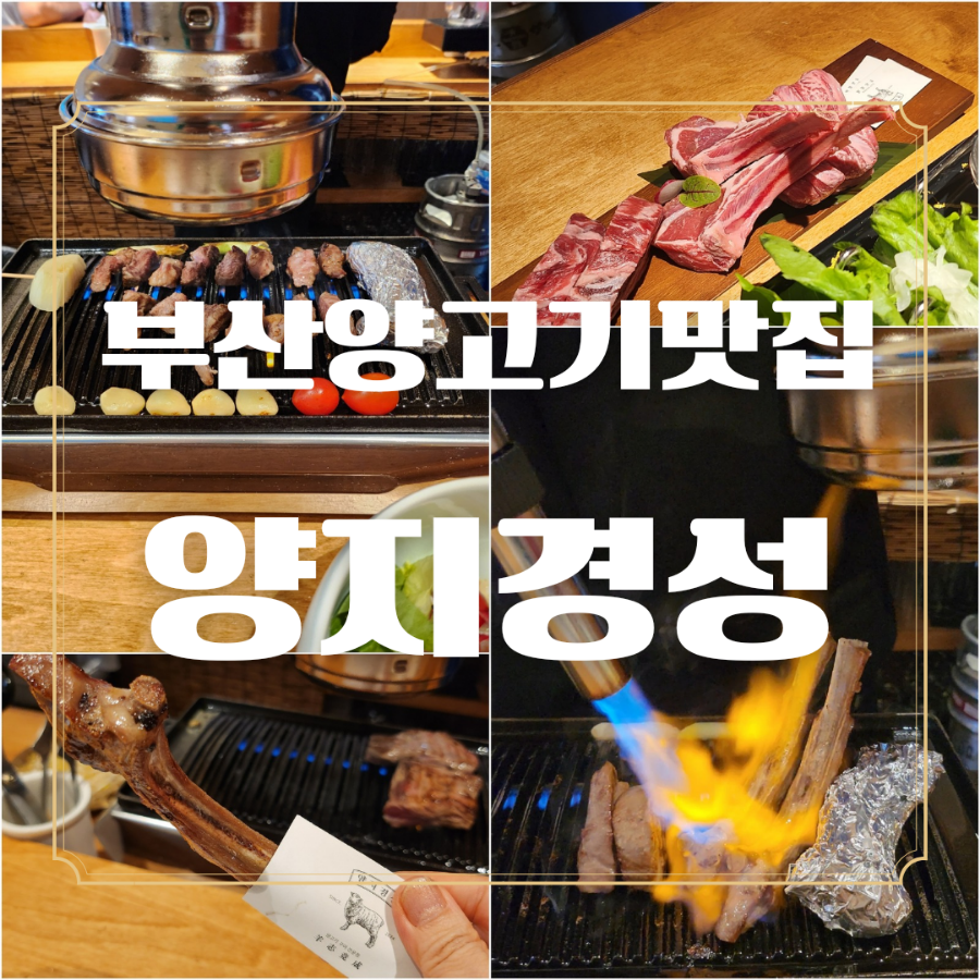 양지경성 이미지