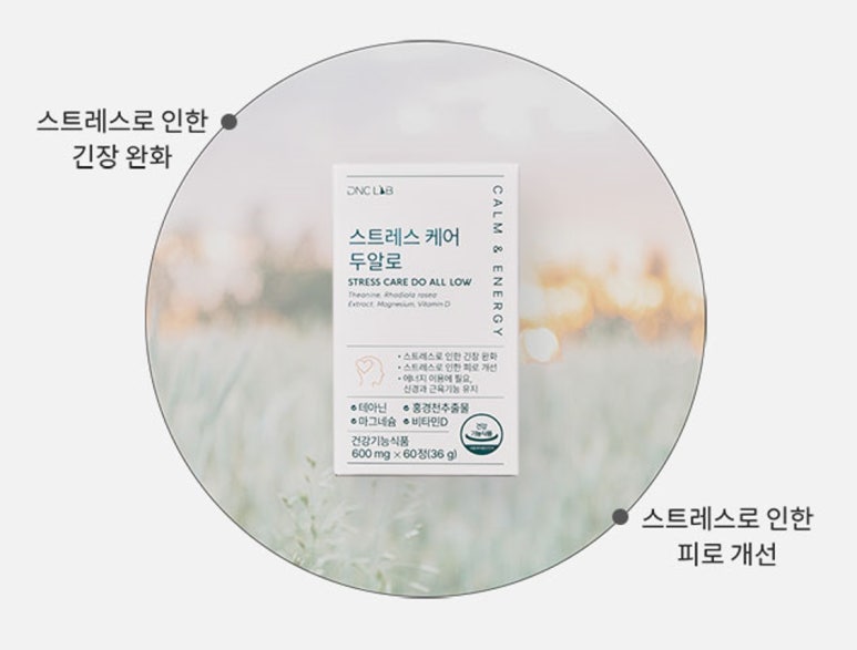 디앤씨랩 이미지