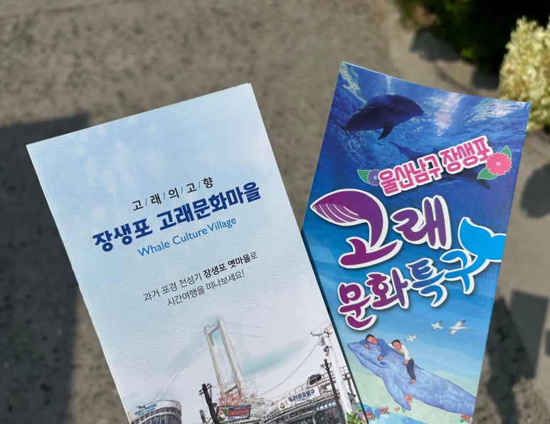 아나카페고래 이미지