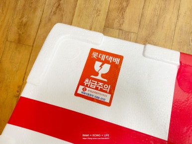 해품조개 이미지