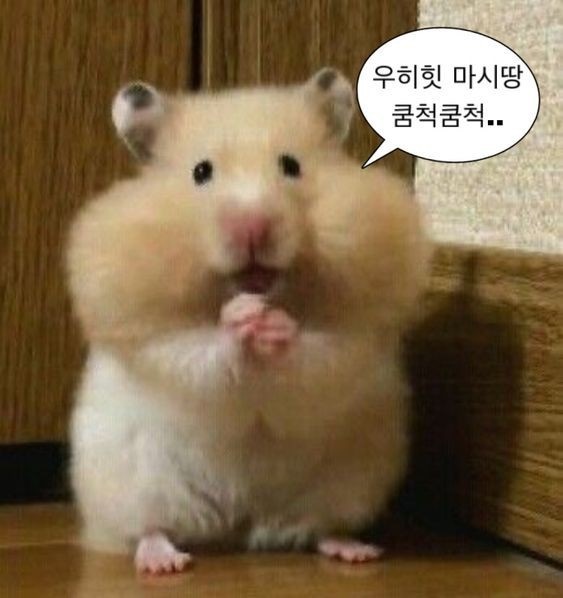 오하하 이미지