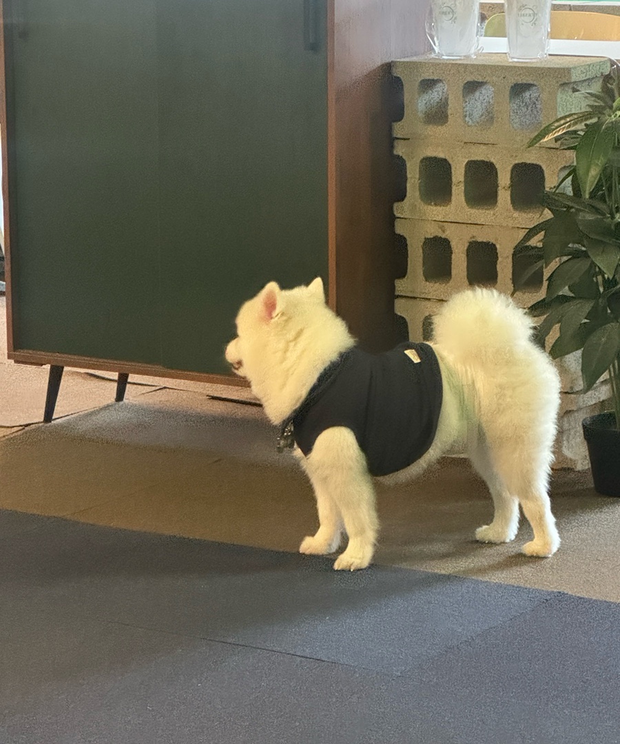카페리벌티 이미지