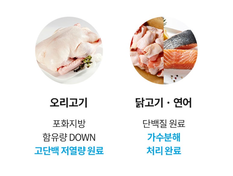 본앤조인트 이미지