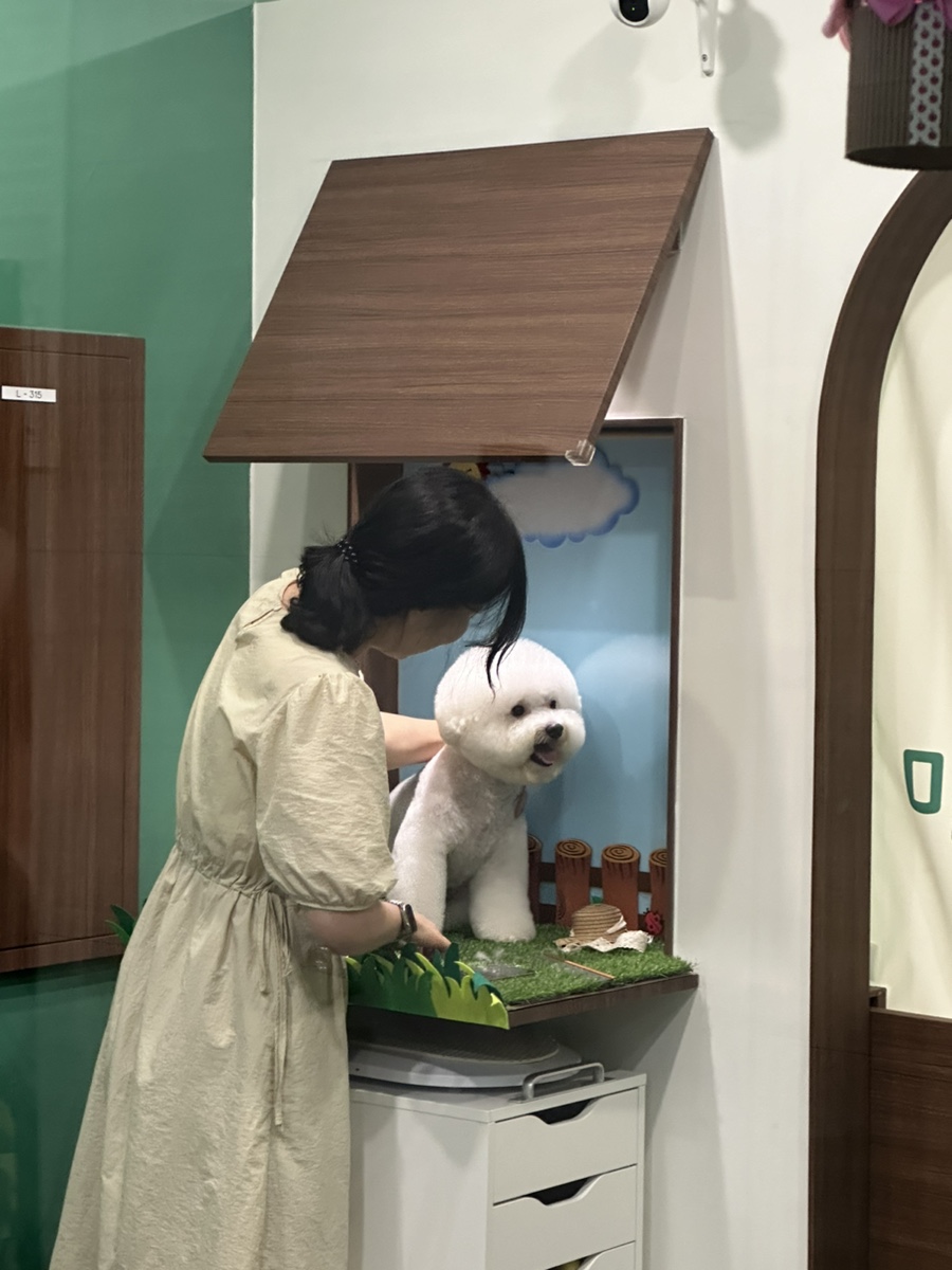 바야바국수 이미지