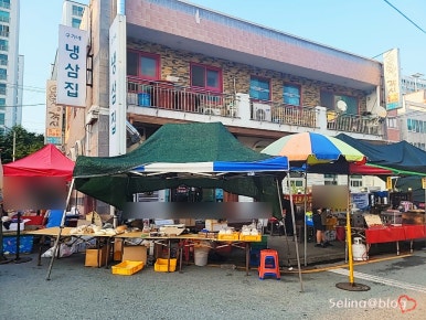 구가네냉삼집 이미지