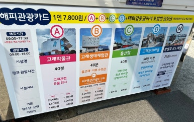아나카페고래 이미지