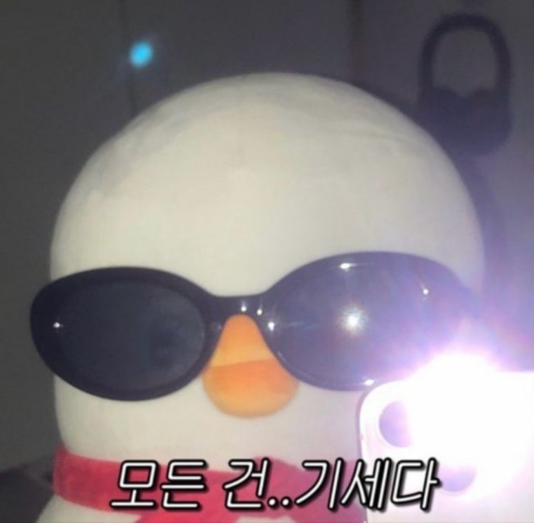서울케이크 이미지