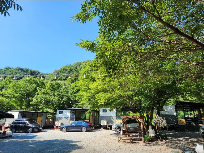 지리산 벚꽃 카라반 캠핑장 이미지