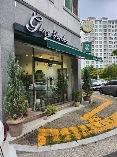 글로리가든플라워 이미지