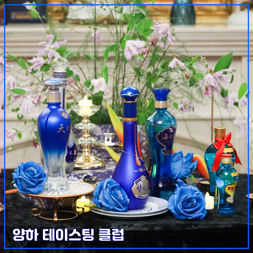 플러스드바이 이미지
