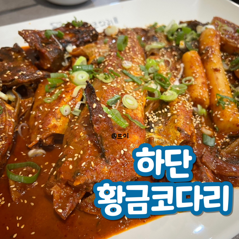 황금코다리부산 이미지