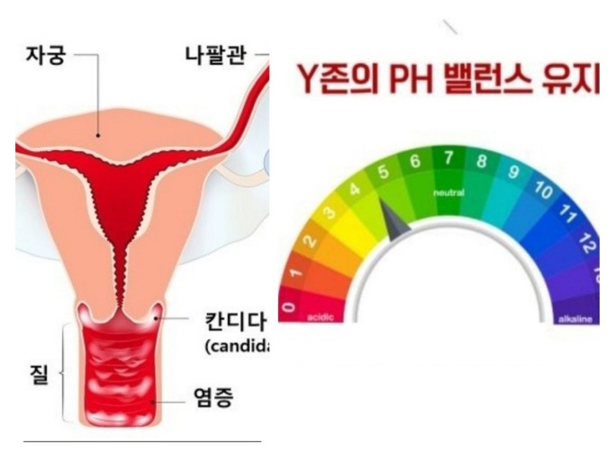 박산부인과 이미지