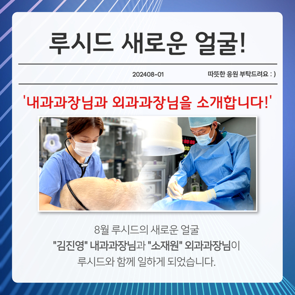 김진영내과 이미지
