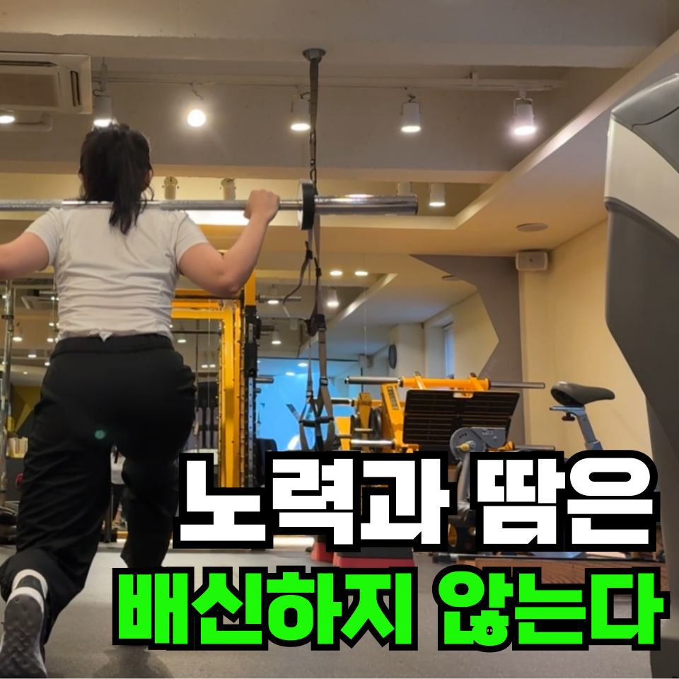 지오피티스튜디오 이미지