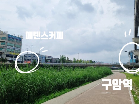 에텐스커피 이미지