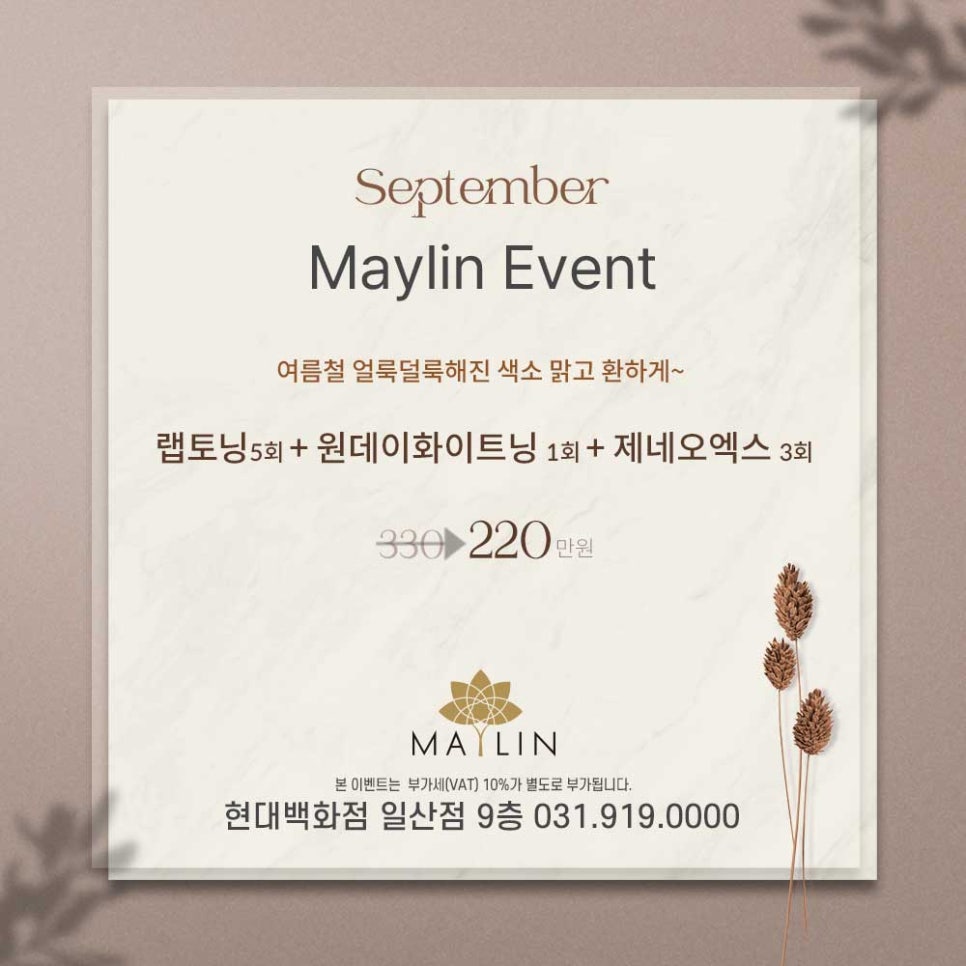 메이린(MAYLIN) 이미지