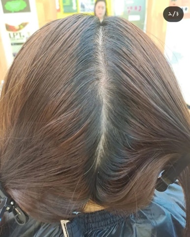 엘샤론 이미지