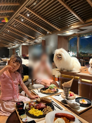 다니푸드 이미지