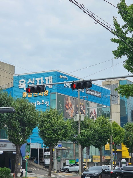 엘리지앙 이미지