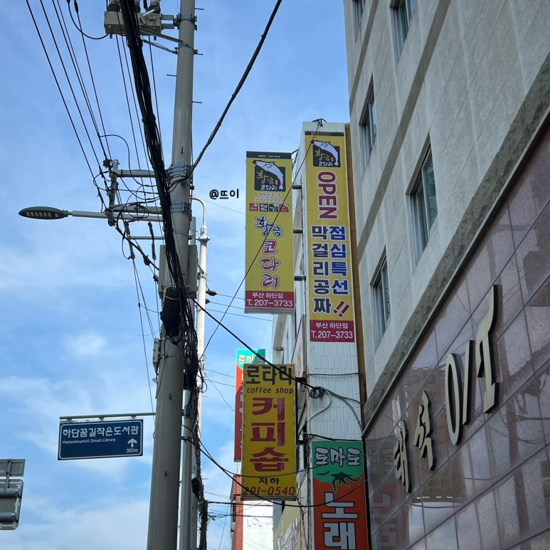 황금코다리부산 이미지